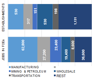 HOUSTON_distribution_of_establishment