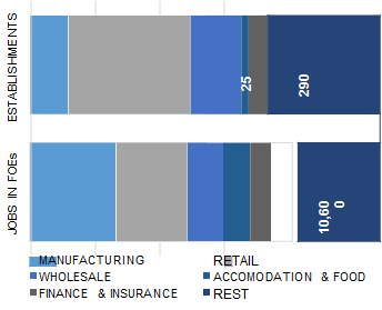 TAMPA_distribution_of_establishment