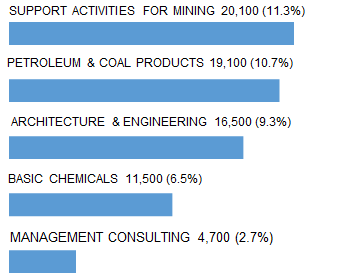 HOUSTON_top_5_industry
