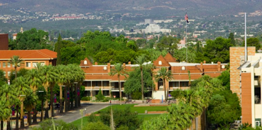 The University of Arizona 